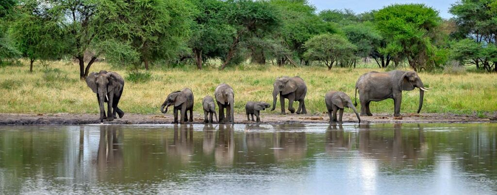 Tarangire National Park
